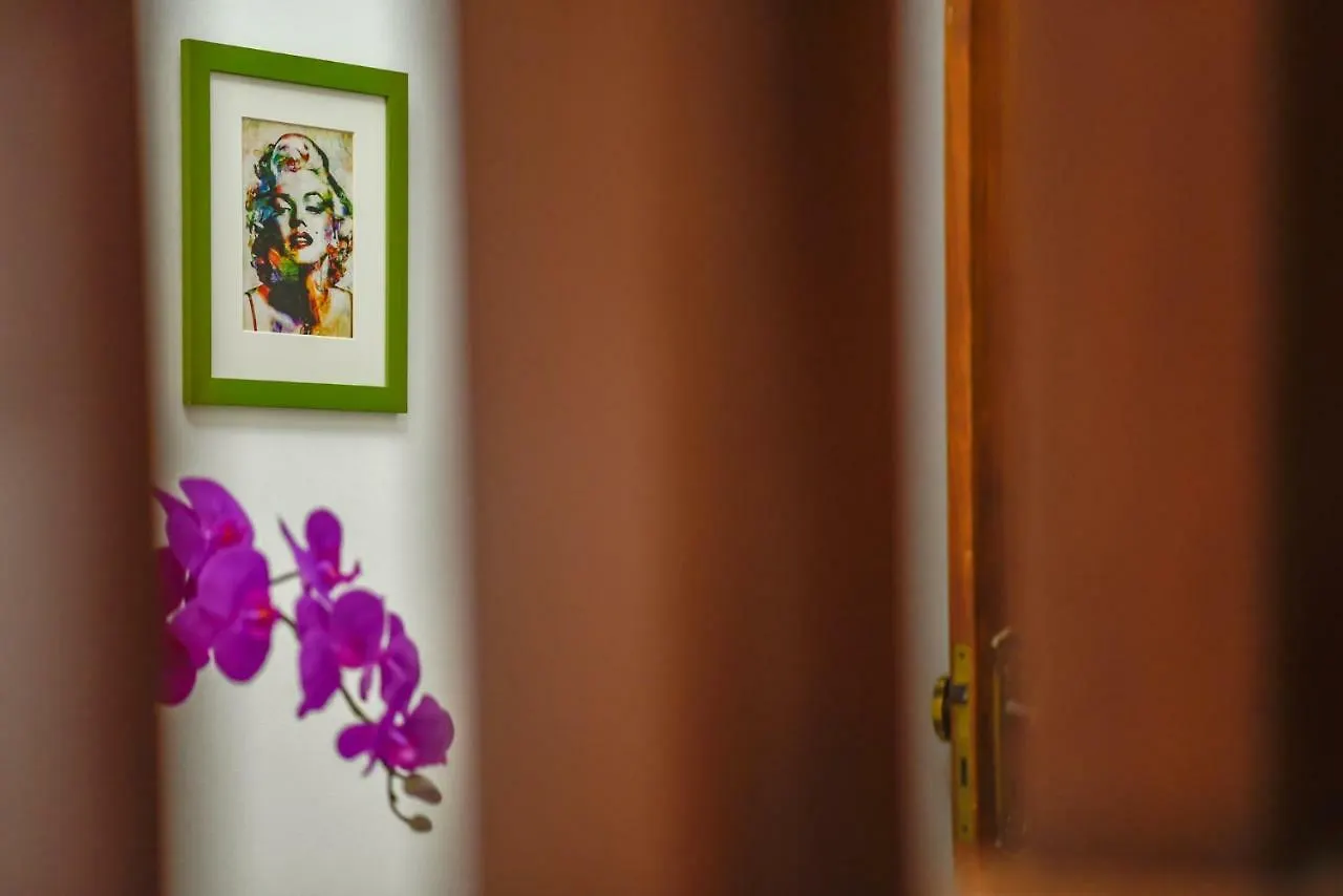 Mansao City Boacava Apartment Sao Paulo Homestay
